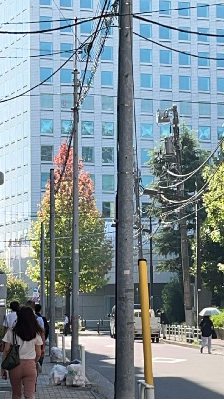 ----------------------上班路上看到一棵正在迎接秋天的树