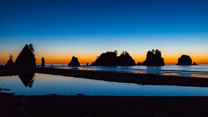 奥林匹克国家公园石狮海滩，华盛顿州，美国 (© T.M. Schultze/TANDEM Stills + Motion)source