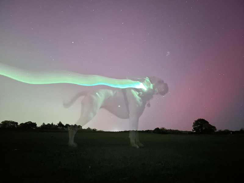 ----------------------Leica’s #aurora photo bomb may just be the best picture I’ll ever takesource