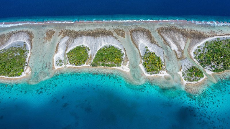 埃希环礁，土阿莫土群岛，法属波利尼西亚 (© WaterFrame_dpr/Alamy)via Bing每日壁纸
