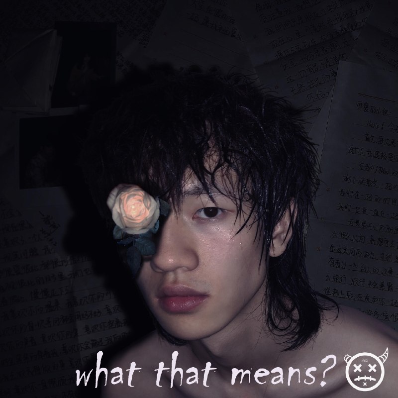 What that means? - 鹿子野#喜欢的音乐歌手：鹿子野专辑：what that means ?发行日期：2/2/2021via 棒无喜欢的音乐 (author: 鹿子野)