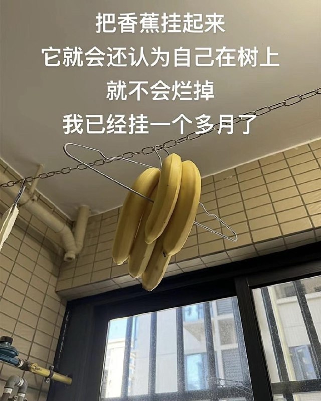 #豆瓣动态wtfD叔 : 日常生活中的有趣陌生人非常科学 非常合理source