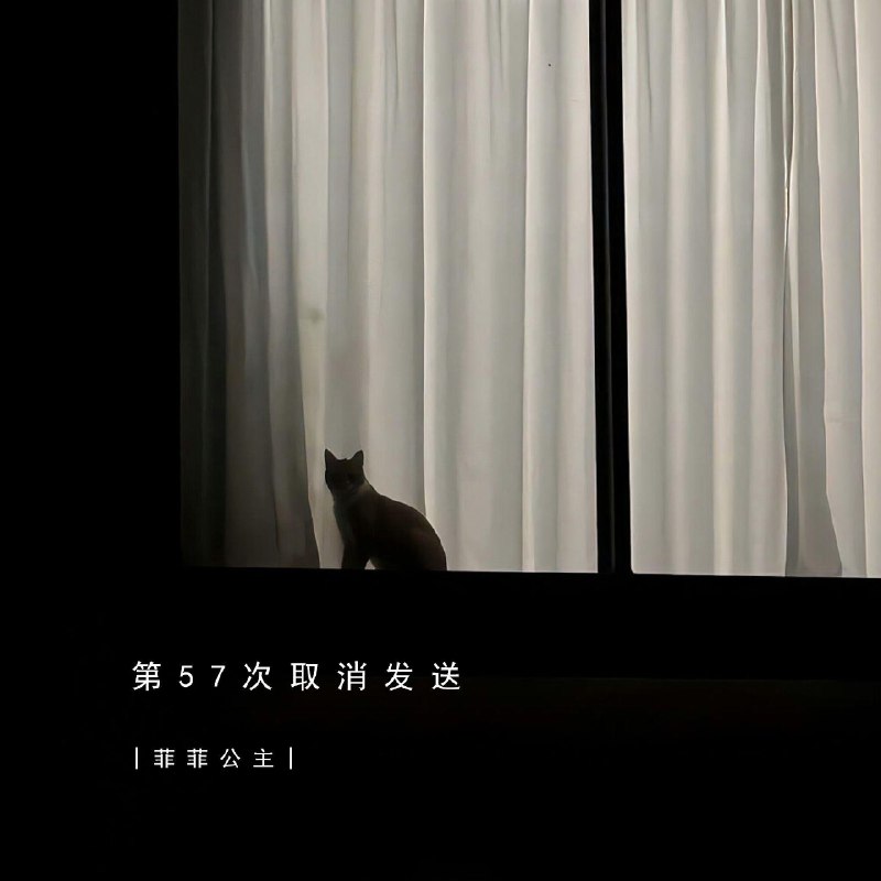 第57次取消发送 - 菲菲公主（陆绮菲）#喜欢的音乐歌手：菲菲公主（陆绮菲）专辑：第57次取消发送发行日期：4/7/2025via 黑蜘蛛呀喜欢的音乐 (author: 菲菲公主（陆绮菲）)