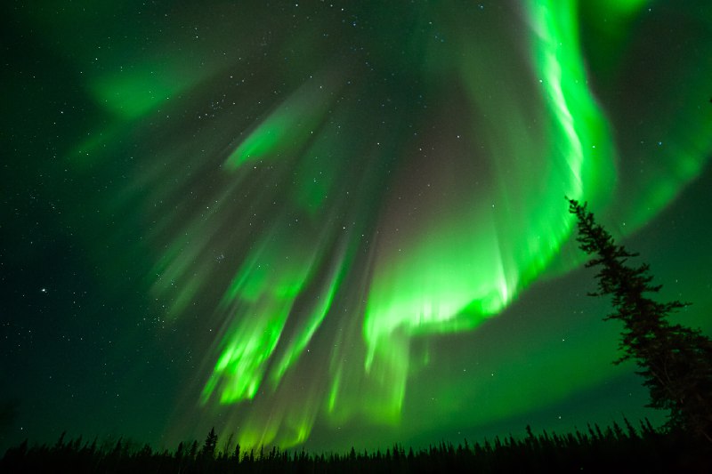 ----------------------From Pleasant Acres Reindeer Ranch last night. Wow!#Alaska #NorthernLights #FairbanksAlaskasource----------------------From Pleasant Acres Reindeer Ranch last night. Wow!#Alaska #NorthernLights #FairbanksAlaskasource