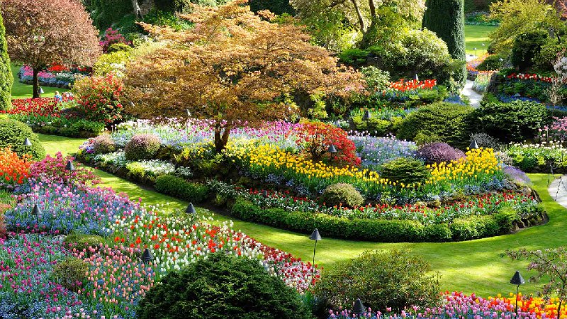 布伦特伍德湾的布查特花园，不列颠哥伦比亚省，加拿大 (© 2009fotofriends/Shutterstock)via Bing每日壁纸