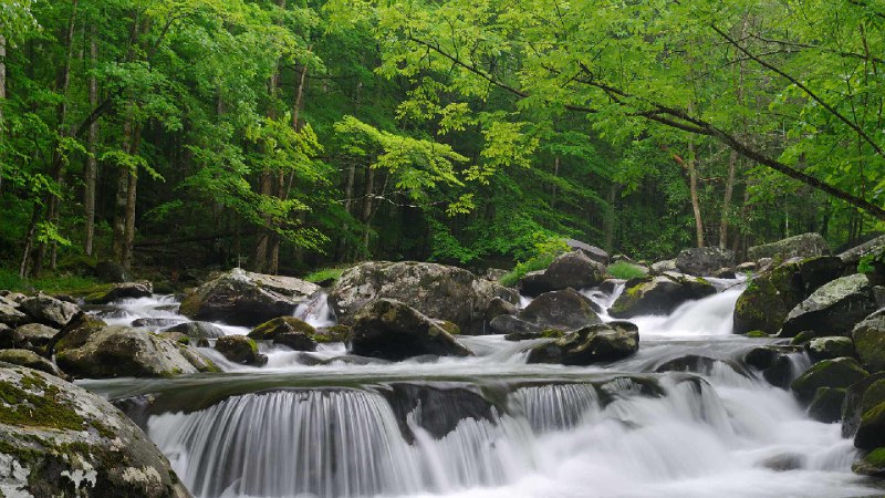 小鸽子河，大雾山国家公园，田纳西州, 美国 (© GreenStock/Getty Images)via Bing每日壁纸