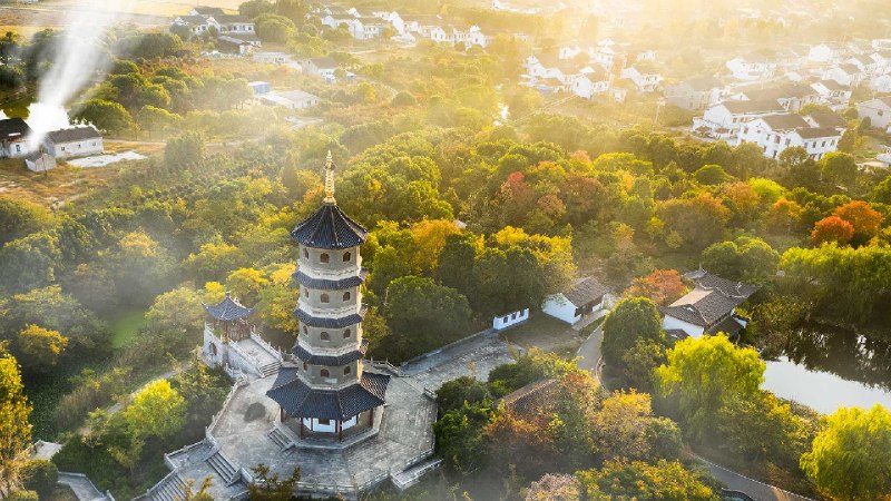 在处暑时节的村庄田野与寺庙佛塔，江阴市，江苏省，中国 (© jia yu/Getty Images)via Bing每日壁纸