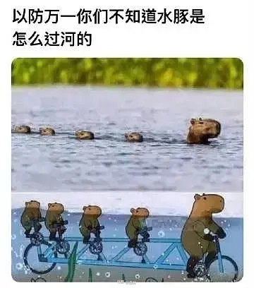 棒无 : 哈哈哈，🤣🤣🤣🤣hhhhhhhhhhhoo#豆瓣动态哈哈哈，🤣🤣🤣🤣阿离 : hhhhhhhhhhhoosource棒无 : 哈哈哈，🤣🤣🤣🤣hhhhhhhhhhhoo#豆瓣动态哈哈哈，🤣🤣🤣🤣阿离 : hhhhhhhhhhhoosource
