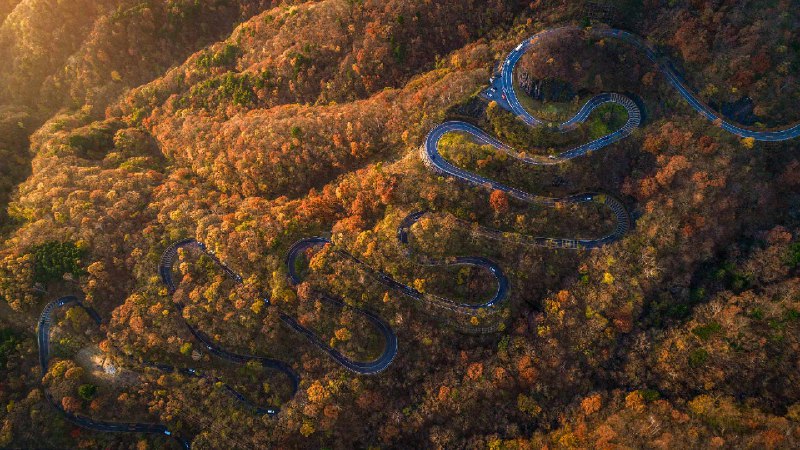 秋天的伊吕波坂，日光市，栃木县，日本 (© oneinchpunch/Shutterstock)via Bing每日壁纸