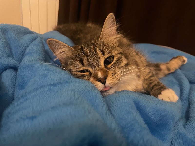 ----------------------​:neocat_melt_blep:​​:neocat_pat_flop:​source----------------------​:neocat_melt_blep:​​:neocat_pat_flop:​source