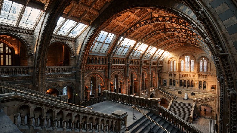 伦敦自然历史博物馆, 英格兰 (© Colm Keating/Tandem Stills + Motion)via Bing每日壁纸