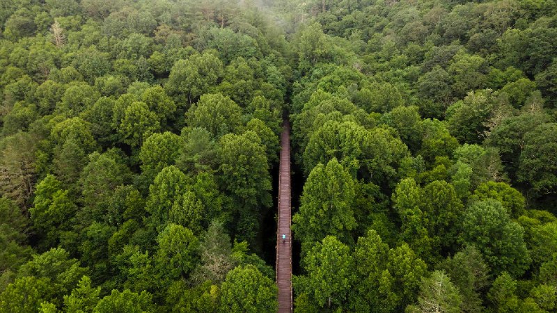 鸟瞰弗吉尼亚爬山虎步道，达马斯克斯，弗吉尼亚州，美国 (© Eifel Kreutz/Getty Images)via Bing每日壁纸