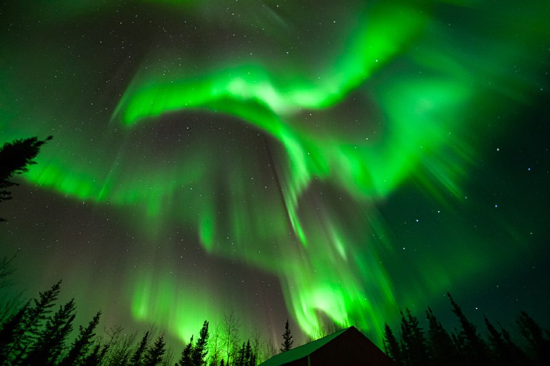 ----------------------From Pleasant Acres Reindeer Ranch last night. Wow!#Alaska #NorthernLights #FairbanksAlaskasource----------------------From Pleasant Acres Reindeer Ranch last night. Wow!#Alaska #NorthernLights #FairbanksAlaskasource